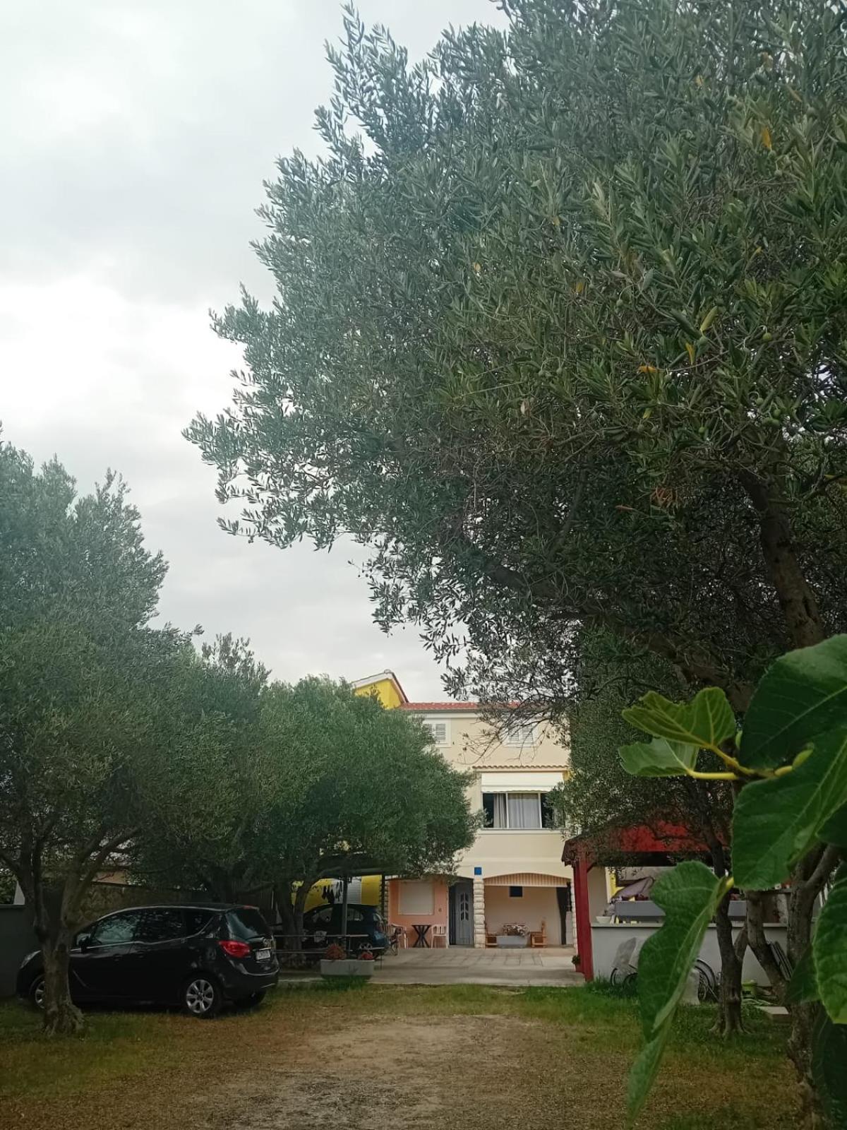 Apartmani A&N بيبينيا المظهر الخارجي الصورة
